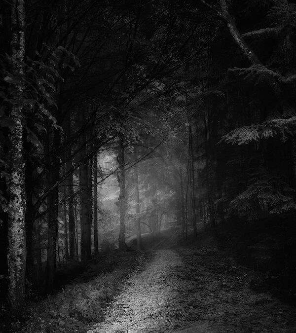 Trusting the Dark – Finding Faith When the Path is Unclear
